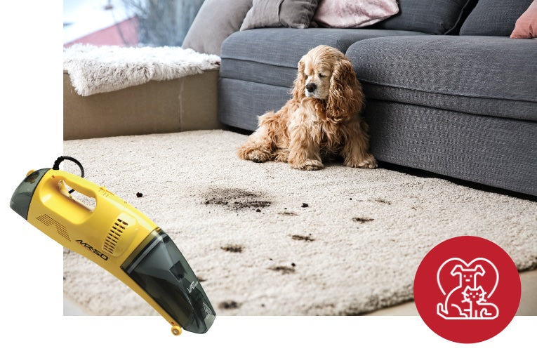 Vapamore | Residential and Commercial Steam Cleaners Vapamore | Residential and Commercial Steam Cleaners